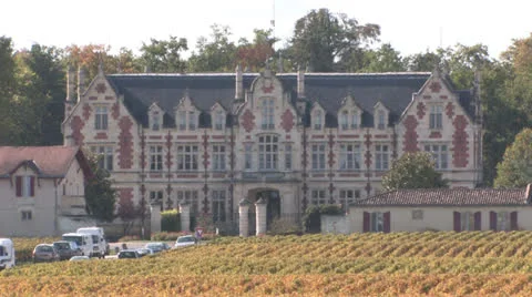 Bordeaux Vineyards Stock Footage 25302524