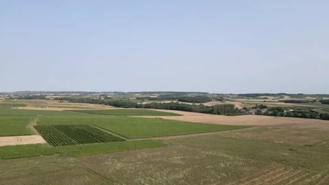 Bordeaux Vineyards Stock Footage 245951504