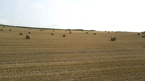 Bordeaux Wheatfields and Vineyards 動画素材 245951501