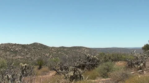 Border 006 Stock Footage 10801278