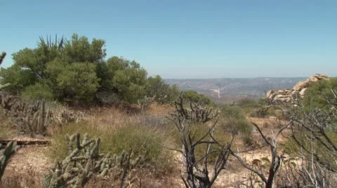 Border 011 Stock Footage 10801352