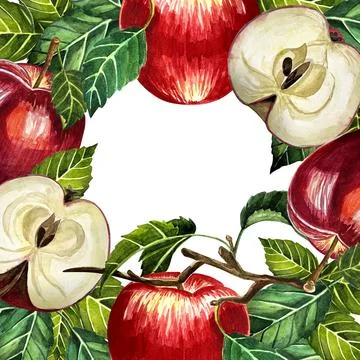 Border apple Stock Photos