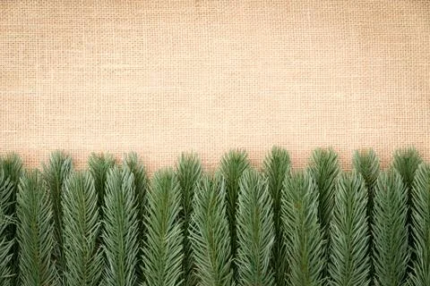 Border of artificial pine foliage on burlap Stock Photos