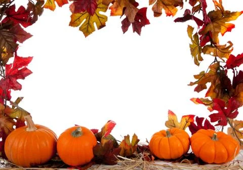 Border of assorted sizes of pumpkins on hay on white Stock Photos