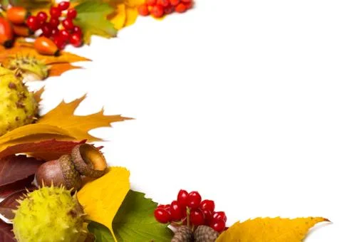 Border from autumn elements isolated on white Stock Photos