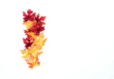 Border of autumn leaves Stock Photos