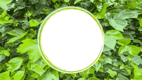Border background for summer season. Stock Footage 194538918