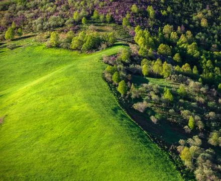 Border between cattle pastures and wild forest Stock Photos