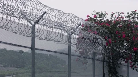 The border between Hong Kong and Shenzhen Stock Footage 199916328