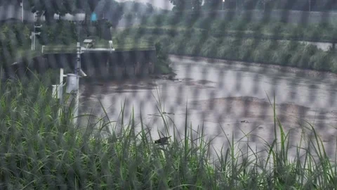 The border between Hong Kong and Shenzhen Stock Footage 199916857