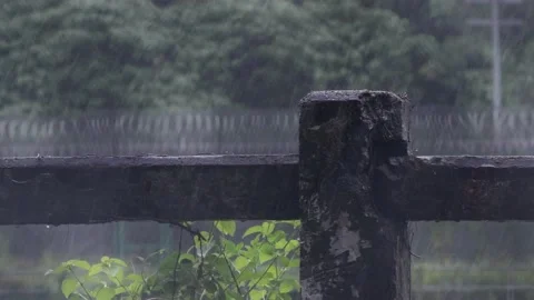 The border between Hong Kong and Shenzhen Vídeo Stock 199918803