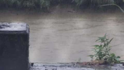 The border between Hong Kong and Shenzhen Stock Footage 199919433