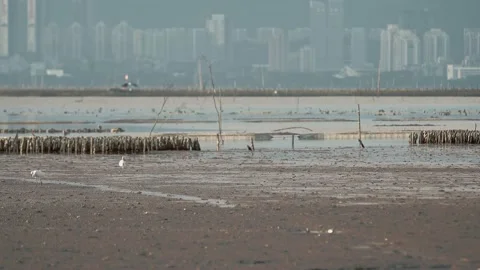The border between Hong Kong and Shenzhen Stock Footage 199992725