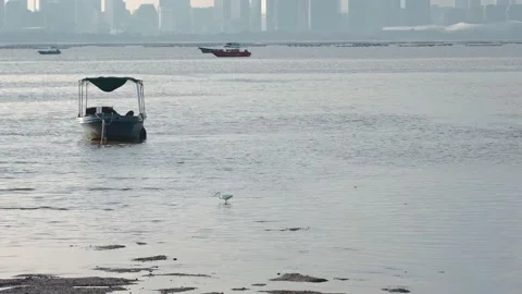 The border between Hong Kong and Shenzhen Stock Footage 199993729