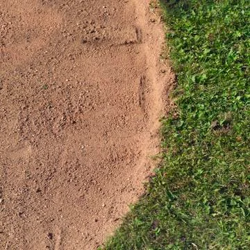 Border between sand and grass 写真素材