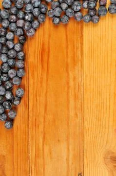 Border of blueberries Stock Photos
