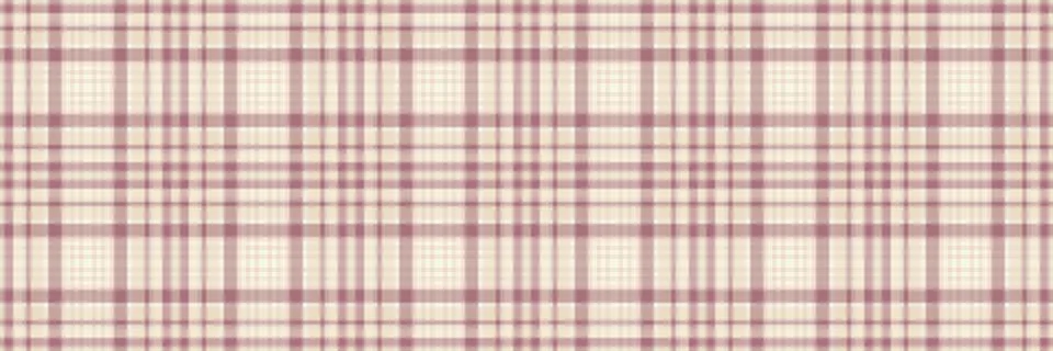Border check pattern vector, invitation texture plaid seamless. Overlay tex.. Stockillustratie