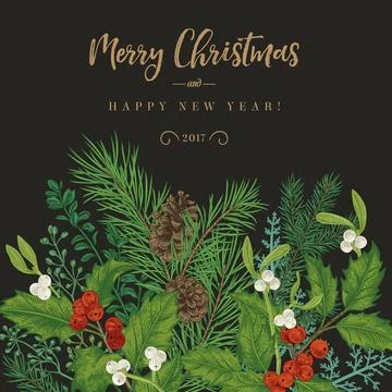 Border with Christmas plants. Stock Illustration
