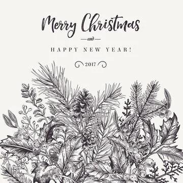 Border with Christmas plants. Illustrazione stock