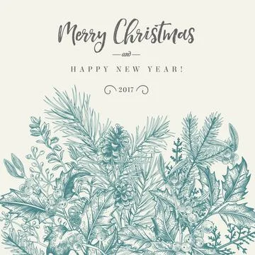 Border with Christmas plants. Stock Illustration
