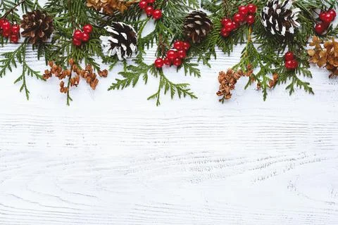 Border of Christmas tree branches pine cones flowers and red berries on white Stock-Fotos