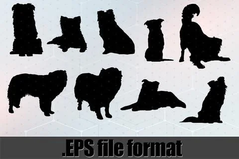 Border Collie Dog Silhouette Bundle SVG Stock Illustration
