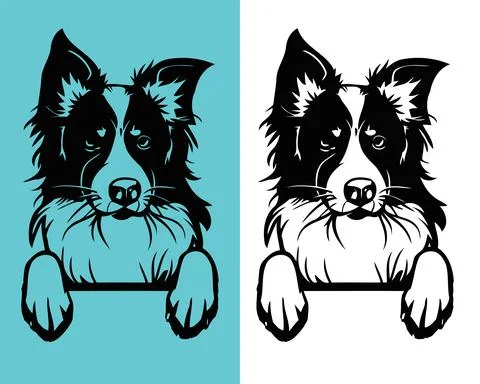 Border Collie Dog vector Design | Editable file Stock Illustration