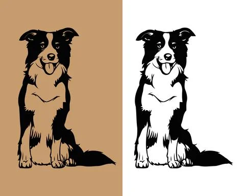 Border Collie Dog vector white background | Editable file Illustrazione stock