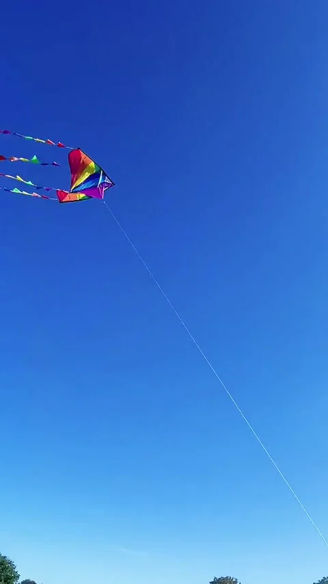 Border Collie Flies a Kite, Reading, berkshire, Uk - 05 Aug 2026 動画素材 342564360