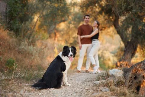 Border Collie with owners on path Stock Photos