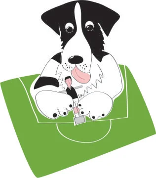 Border collie puppy playing table soccer vector illustration Stock Illustration