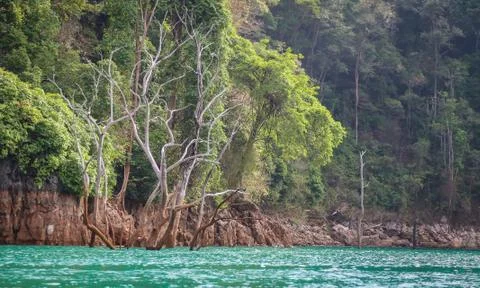 Border of dam Stock Photos