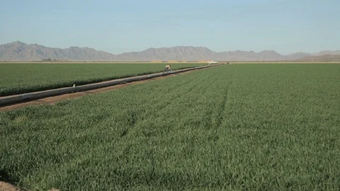 Border Desert Farming Stock Footage 94643522