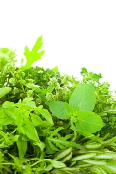 Border of different fresh spice herbs  over white background / vertical compo Foto stock