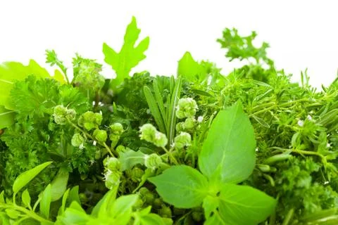 Border of different fresh spice herbs  over white background Stock Photos