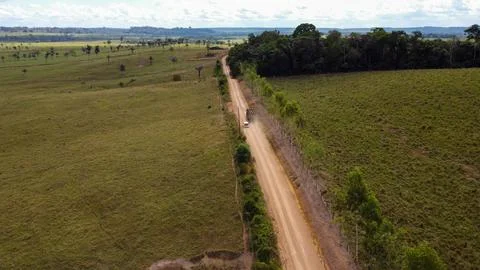 Border dividing preserved Amazon forest and managed cattle pasture in Apui 스톡 사진