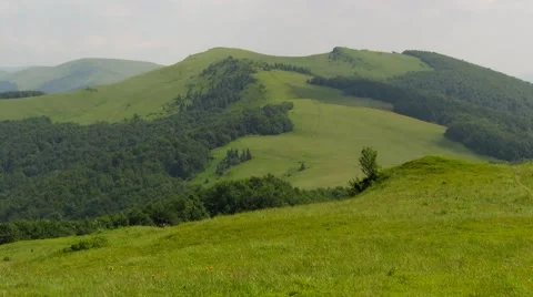 The border forests in the Carpathian Mountains Stock Footage 68860188
