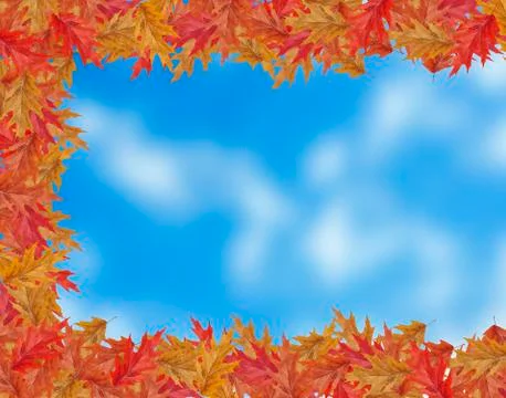 Border Frame of colored falling maple leafs with copy space on blured sky bac Stock Photos