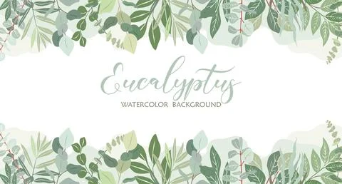 Border frame with green leaves of eucalyptus. Illustrazione stock