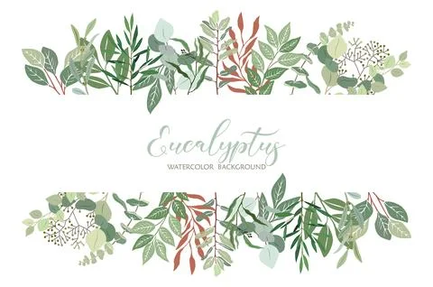 Border frame with green leaves of eucalyptus. Illustrazione stock