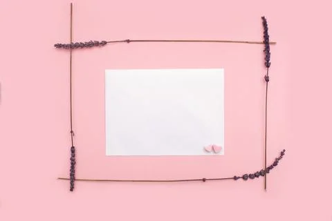 Border frame made of dried lavender flowers on a pink pastel background Stock Photos