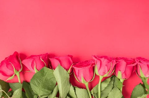 Border frame made with flowers on colored background Stock Photos