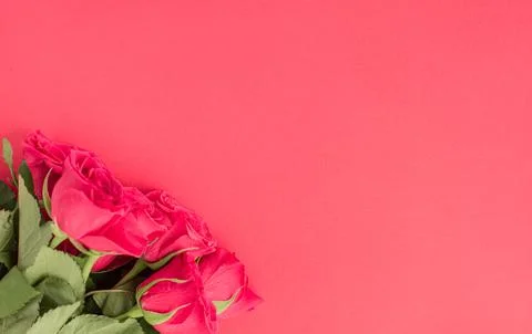 Border frame made with flowers on colored background Stock Photos