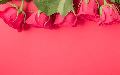 Border frame made with flowers on colored background Stock Photos