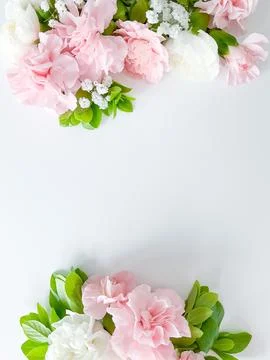 Border frame made of pink and white carnations Stock Photos