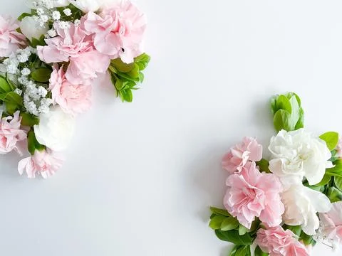 Border frame made of pink and white carnations Stock Photos