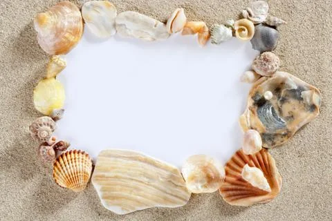 Border frame summer beach shell blank copy space 스톡 사진
