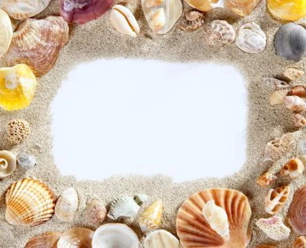Border frame summer beach shell blank copy space 스톡 사진