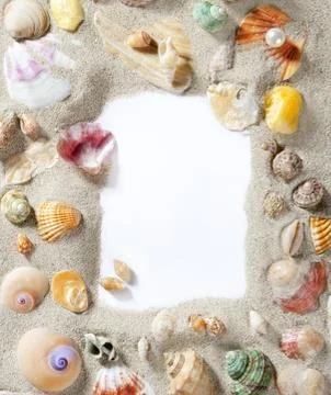 Border frame summer beach shell blank copy space 스톡 사진