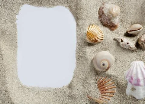 Border frame summer beach shell blank copy space 스톡 사진